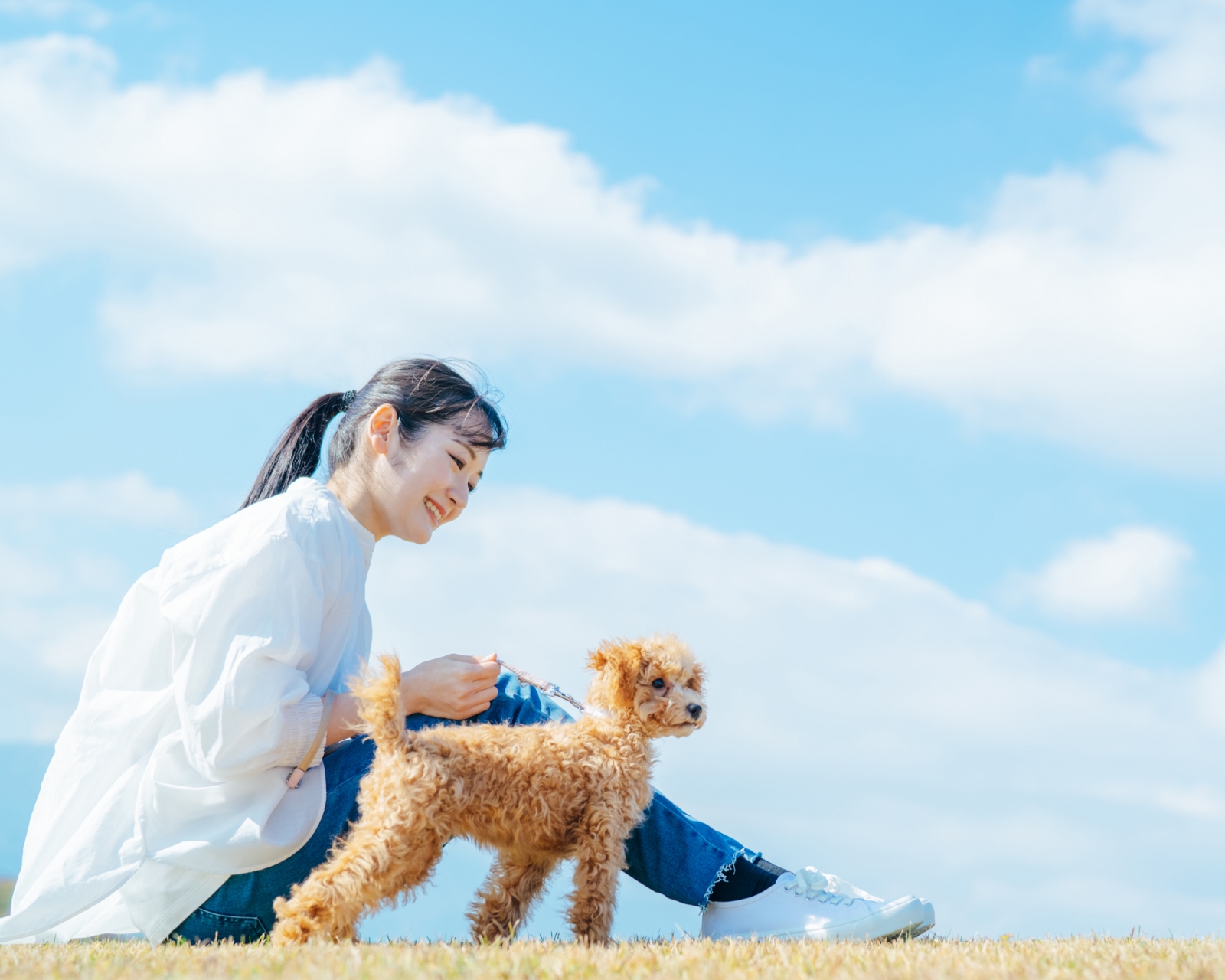 青空の下、犬と一緒に過ごすお客様のイメージ